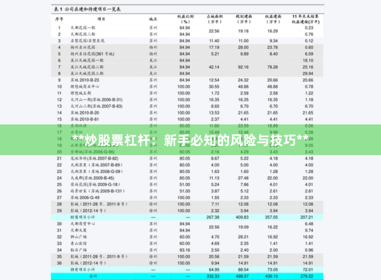 **炒股票杠杆：新手必知的风险与技巧**