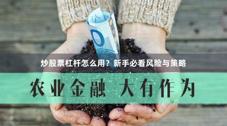 炒股票杠杆怎么用？新手必看风险与策略
